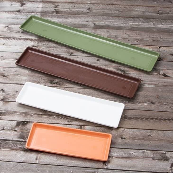 Planter Plate (any size)